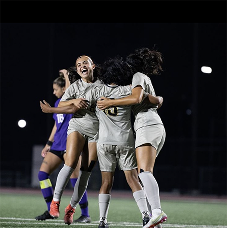 A group of soccer players celebrating on the pitch.