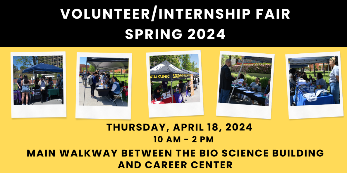 Volunteer Fair 2024