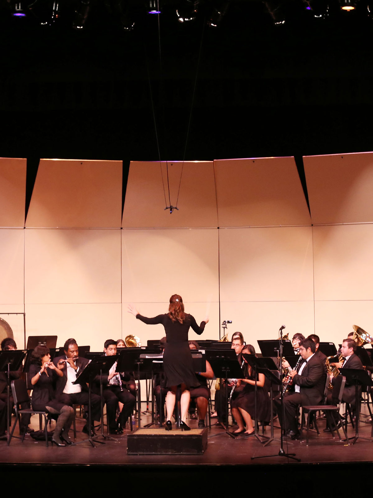 A conductor and their orchestra performing.