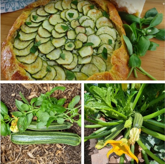 Rustic garden zucchini galette recipe