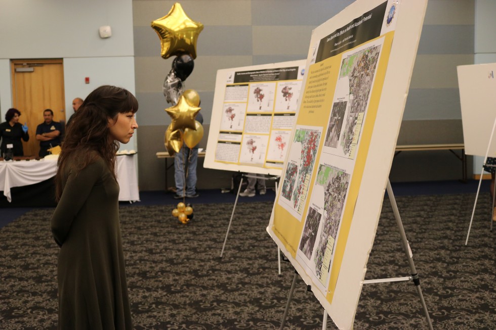 Girl looking at poster 