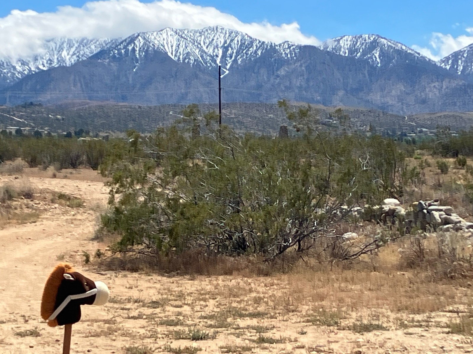 Snow-capped mountains