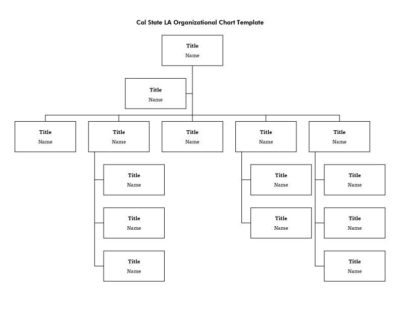 org chart template