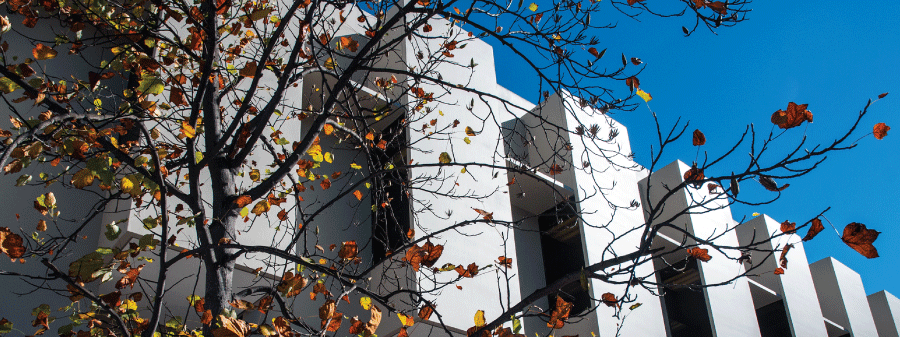 J F K library in the fall