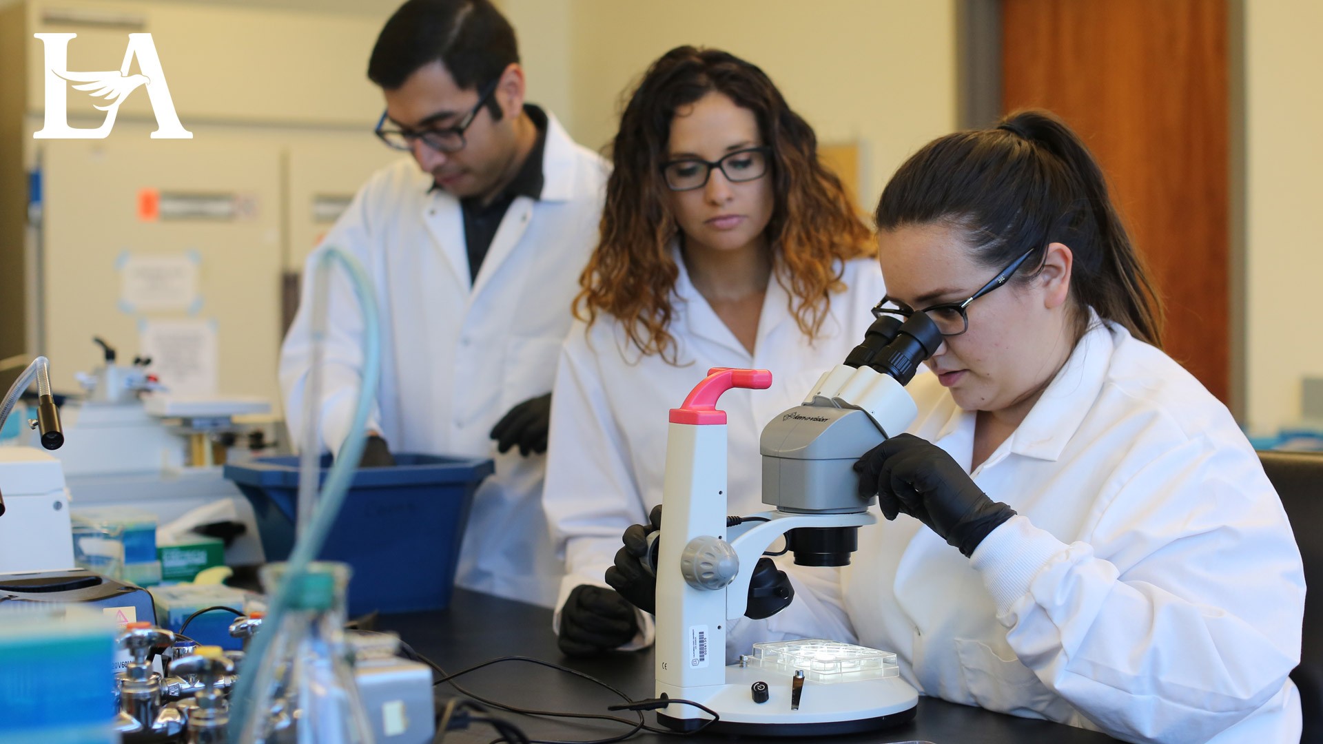 Students working together in a laboratory.