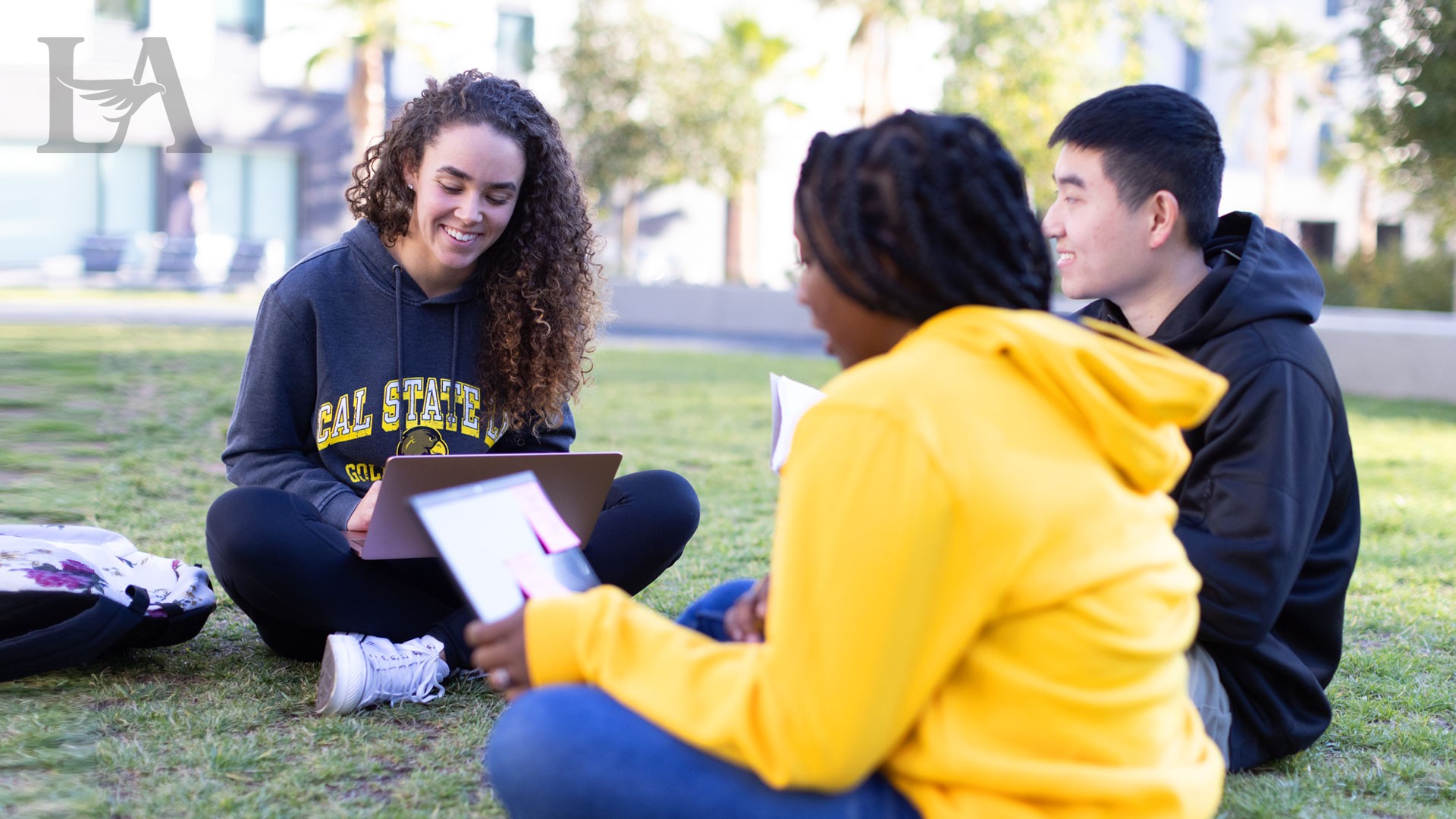 Students sitting together on a green lawn with many trees in the background.