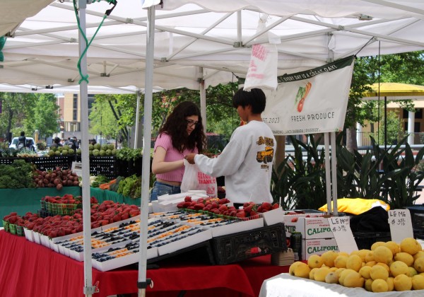 at the farmer's market booth with fresh produce, a dark haired male student is helping a dark haired female student at the booth