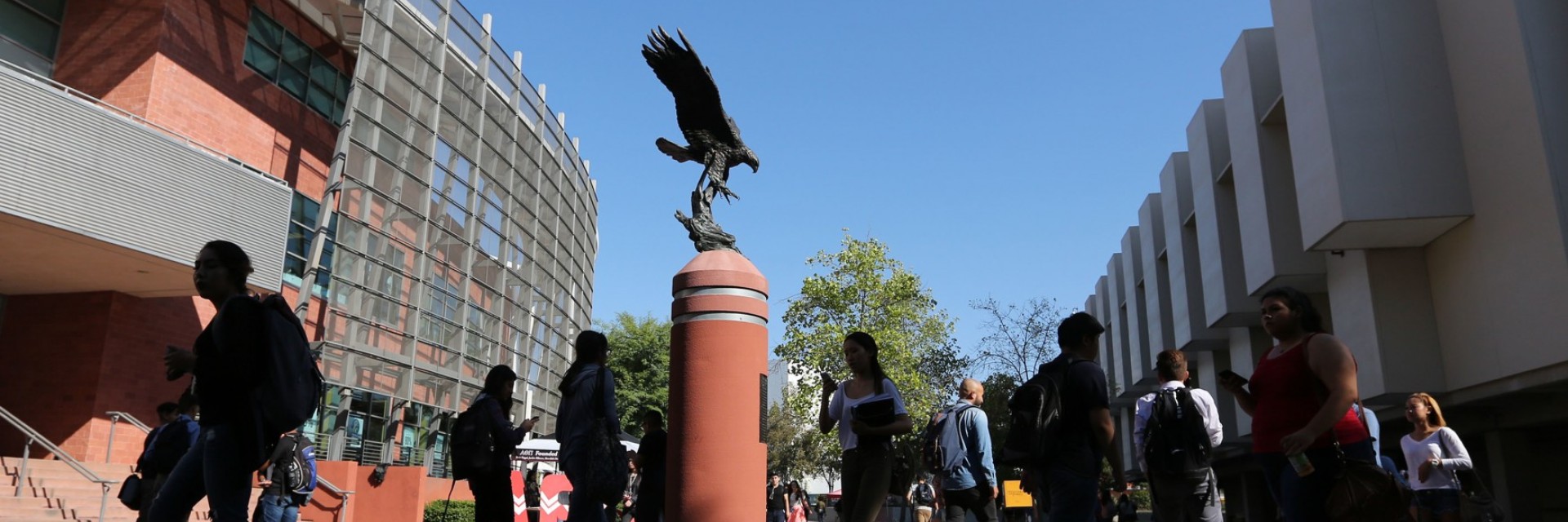California State University Application Deadline Fall 2025