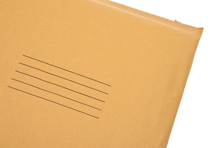 manila envelope