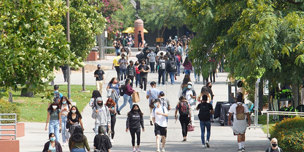 Students walking on the main walkway