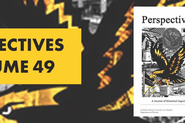 Cover of Perspectives Volume 49