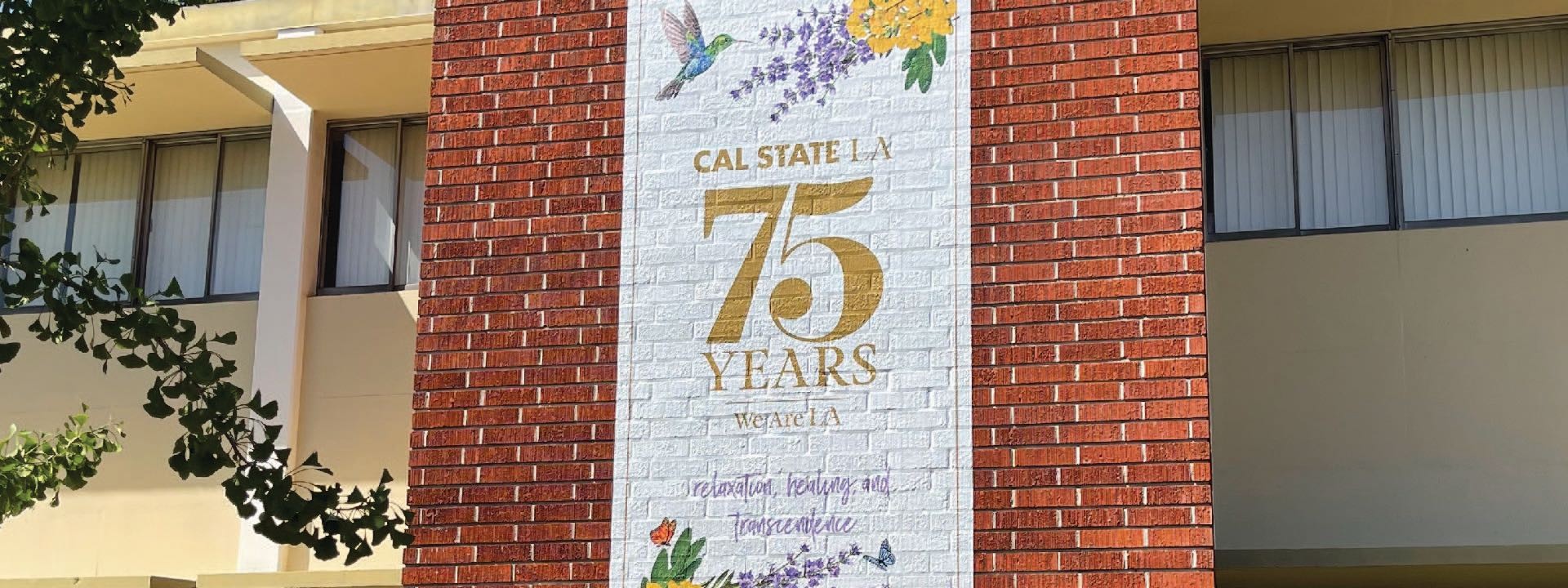 Cal State LA - 75 Year Graphic Vinyl