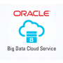 oracleBigData