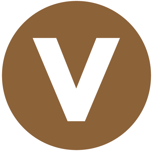 vehicle icon